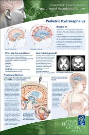 Neurosurgery Posters On Behance In 2020 Book Study Poster Health Science