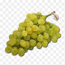 That was the start of what is now acme fresh market, the local supermarket chain still owned and operated by albrecht's descendants. Acme Markets Png Images Pngegg