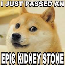 Ever given, one of the largest cargo ships in the suez canal, has run aground. Sp00n Zone Funniest Meme This Year Is Giving Doge The