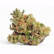 Uplifts mood, boosts energy and creativity, relieves stress. G13 Haze Marijuana Strain Full Review Information