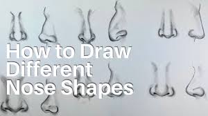 Significado de grecian nose en en inglés. How To Draw Different Nose Shapes Youtube