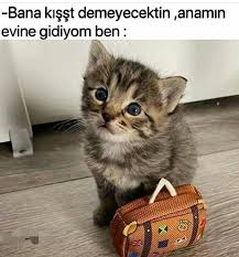 Azra Onder Adli Kullanicinin Guzel Soz Panosundaki Pin 2020 Komik Tumblr Komik Resimler Komik Seyler