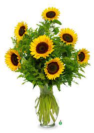 194 west main street, greenwood, in 46142, usa adresas. Snazzy Sunflowers In Greenwood Sc Designer Flowers By Rose