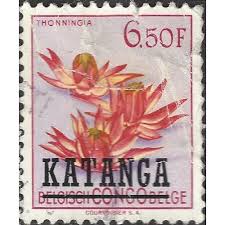 Image result for Thonningia