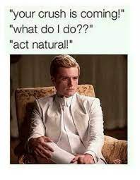 40 Funny Crush Memes You Probably Know Too Well Sayingimages Com What happens when you have a crush on someone?