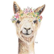 Alpaca Love Adorable Drawing Of Alpaca With Flower Crown Named Her Luna Illustration Is A Mixed Media Piece Painte Alpaca Drawing Animal Art Crown Drawing