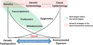 Genetic testing is a tool that can be used to learn about inherited cancer risks. Metabolomics Within The Gene Environmental Continuum The Causation For Download Scientific Diagram