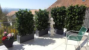Image Result For Pflanzen Sichtschutz Terrasse Kubel Sichtschutz Terrasse Terrasse Pflanzen Outdoor Dekorationen