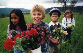 Sebastian warholm was born on december 31, 1995 in norway. Episode 1 3 2004
