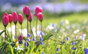 Horoskopi i dates 1 maj 2026