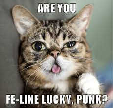 6 on the american film institute list afi's 100 years.100 movie quotes. Go Ahead Make My Day Lolcats Lol Cat Memes Funny Cats Funny Cat Pictures With Words On Them Funny Pictures Lol Cat Memes Lol Cats