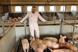 It also has the invisibility effect, and doesn't show. Denmark Plans A Fence To Stop A Pig Disease Will It Work The New York Times
