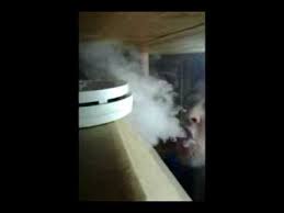 The dirt can restrict airflow and make the smoke detector think it is hot and therefore setting it off to beep. Smoke Detector Vs Vaporizer Youtube