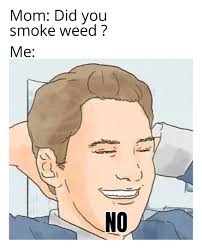 We did not find results for: Of Course Not Mom I Live A Happy Sober Life Memes