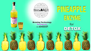 High Quality Pineapple Enzyme For Detox Brewed Professionally With Brewbaga Proprietary Brewing Technology Order Now Http Pineapple Enzyme Pineapple Enzymes