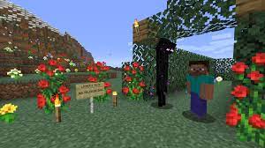 We did not find results for: How To Express Your Love In Minecraft Minecraft