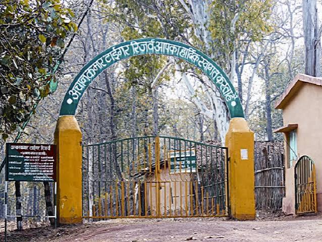 Cheetal hunt in the core area of Achanakmar Tiger Reserve, eight deaths in one and a half years