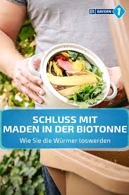 Neben maden können auch lebensmittelmotten zur gefürchteten plage im haushalt werden. Maden In Biotonne Was Tun Gegen Maden In Der Biotonne Br De Bio Tonne Biomull
