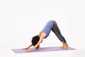 Lizard Pose Utthan Pristhasana In Yoga Lizard Pose Lizard Pose Yoga Yoga Poses Advanced