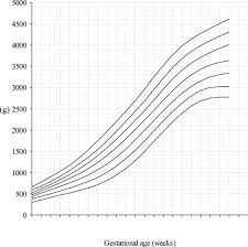 beebys population based birthweight percentile chart