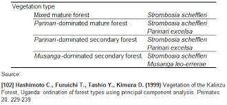Image result for Musanga leo-errerae