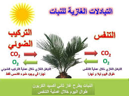 Ù…ÙÙ‡ÙˆÙ… Ø§Ù„ØªÙ†ÙØ³ ÙÙ‰ Ø§Ù„Ù†Ø¨Ø§Øª Ù…Ø¯ÙˆÙ†Ø© Ø£Ø­Ù…Ø¯ Ø§Ù„Ù†Ø§Ø¯Ù‰ Ù„Ø£Ø­ÙŠØ§Ø¡ Ø§Ù„Ø«Ø§Ù†ÙˆÙŠØ© Ø§Ù„Ø¹Ø§Ù…Ø©