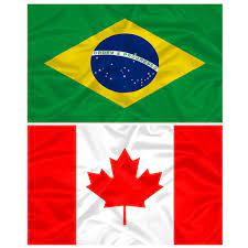 Bandeira Do Canada Do Brasil 145cm X 90cm Da Marca Minha Bandeira Dupla Face Bandeiras Magazine Luiza