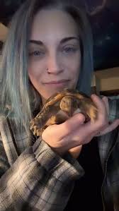 Lil dose of tortoise cuteness🥰🐢🫶🏻