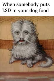 These 48 Classical Art Memes Are Better Than Going To The Museum Classical Art Memes Art History Memes Historical Art Memes