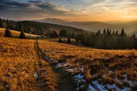 Many of the campgrounds are located in the surrounding mountains and accommodate not only tents but also rvs. The Camper S Guide To Mountain Biking Sun Valley Id