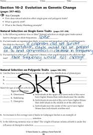 4 things to consider about natural selection step 1: Summary Genes And Variation Evolution As Genetic Change Name Class Date Pdf Free Download