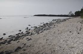 Dari pelabuhan bakauheni, pantai ini berjarak sekitar 30 km. Pantai Laguna Surga Bahari Tersembunyi Di Kawasan Anyer Penginapan Net 2021