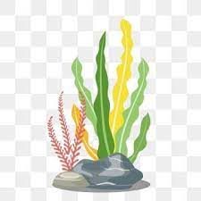  Creative Marine Life Pattern Simple Blue Coral Colorful Seaweed Colorful Coral Marin In 2021 Watercolor Flower Background Logo Design Free Templates Flower Backgrounds
