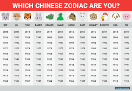 chinese zodiac personality money traits senseicat steemit