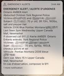 We reviewed the best medical alert systems, so you can make sure they are protected. History Shows Amber Alerts Do Work Including In Niagara Stcatharinesstandard Ca