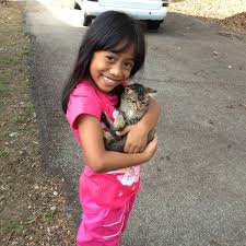 We are a no killing shelter for surrender and stray cats. Pusat Jagaan Kucing Terbiar