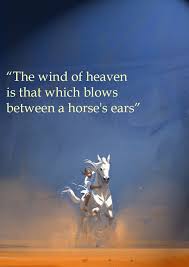 Bilal A New Breed Of Hero Full Movie Online Free The Beauty Of The Ride Inspired By Bilal Movie Bilalmovie Quotes Quote Poster Artwork Illustration Horse Bilal Movie Hero Movie Movie Shots Poster