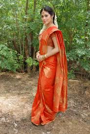 Beauty Galore HD : Sadha Gorgeous And Hot In Orange Saree