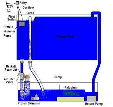 Reef Workshop Diy Gravity Assisted Protien Skimmer Pump Aquarium Pump Aquarium Sump Sea Aquarium
