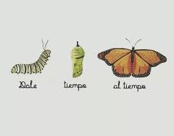 Lacasadepinturas Exclusivasdibar Twitter Butterfly Project Cute Notes Butterfly Quotes