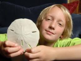 12 niesamowitych Rekordów Guinnessa ustanowionych w 2014 ⋆ Biuro Rekordów