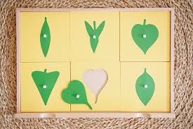 Main Principles Of Montessori Preschool