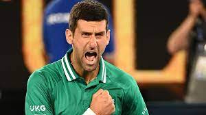 Australian Open - 'One of best moments of my career' - but Novak Djokovic  could quit with injury - Eurosport
