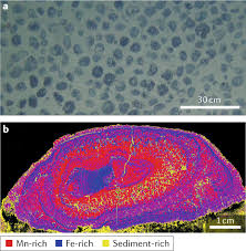 A total of 10 12 metric tons of nb nodules is estimated to be presently at the surface of the pacific ocean sediments. Deep Ocean Polymetallic Nodules As A Resource For Critical Materials Nature Reviews Earth Environment