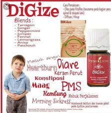 Peppermint (mentha piperita) has a strong, clean, fresh, minty aroma. Banyak Manfaat Dari Oil Ini Digize Young Living Wellness Balance Facebook