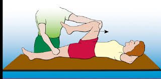 The disorder is named for its underlying pathophysiology, with amyotrophy referring to the atrophy of muscle fibers, which are denervated as their corresponding anterior horn cells degenerate. A Fisioterapia En Pacientes Con Enfermedad Neurologica Esclerosis Lateral Amiotrofica Compendio De Informacion