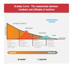 Dupont Bradley Curve Video