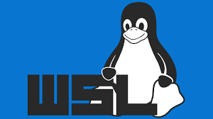 Care must be taken in reproduction of the wso2 logo. Windows Subsystem For Linux Documentation Microsoft Docs