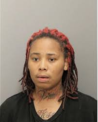 ᐅ Illinois Criminal Records 2009-2025