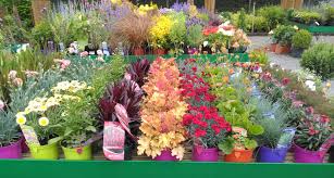 Retractable straight drop roll down awning garden patio screen 3.0x2.5m. Moore Nurseries Garden Centre Ballycumber Rd Ferbane Co Offaly